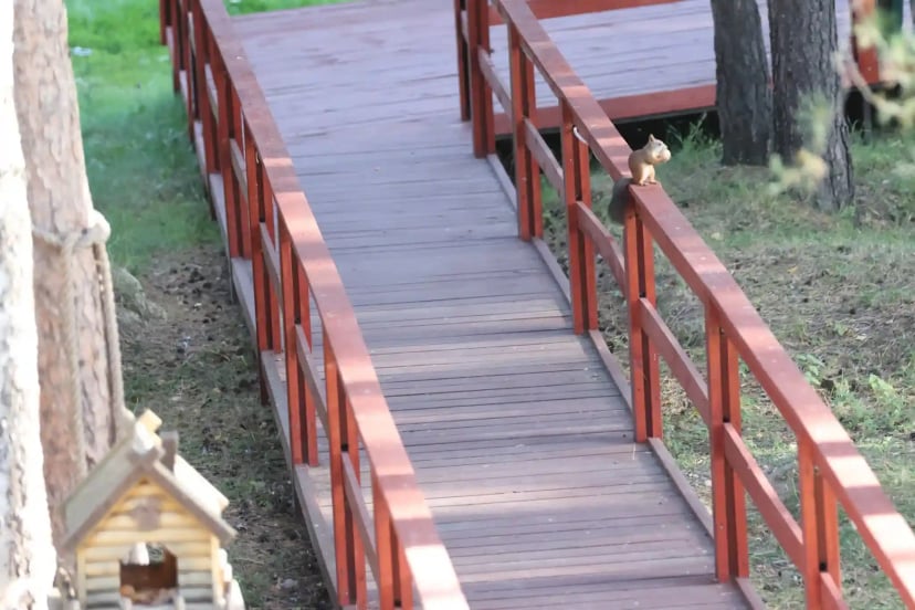 Здание и территория Клинического Института Мозга